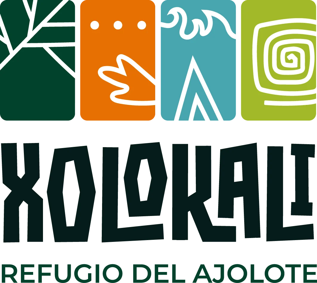 Xolokali — Refugio del axolote